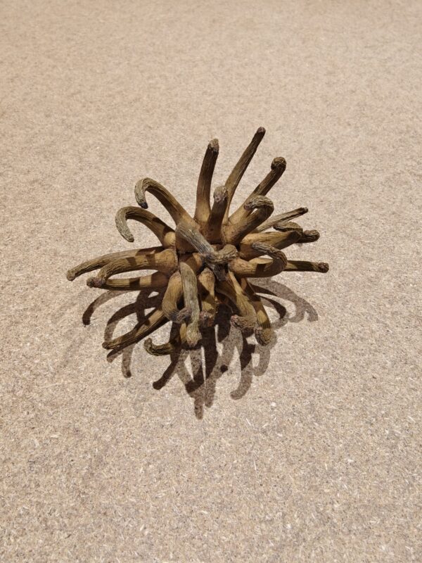 Spidergum, 8-10cm (1 stk)