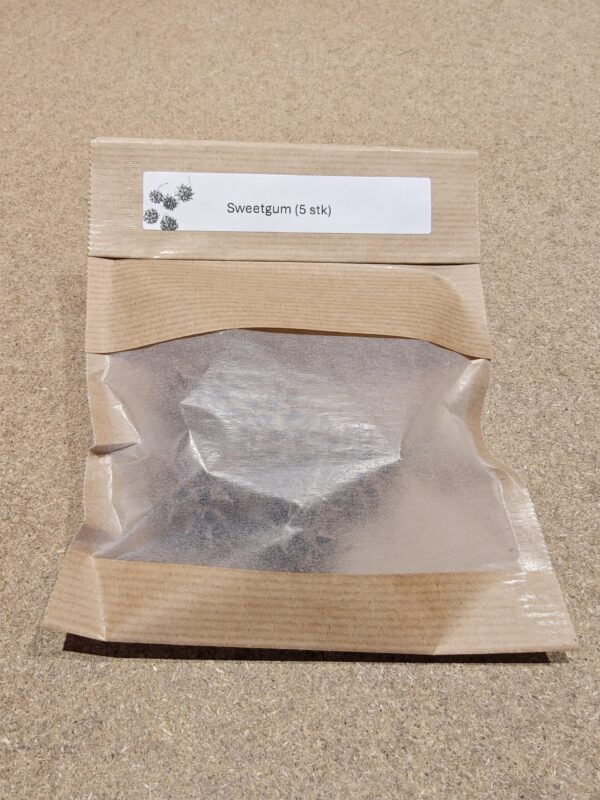 Sweetgum (5 stk)