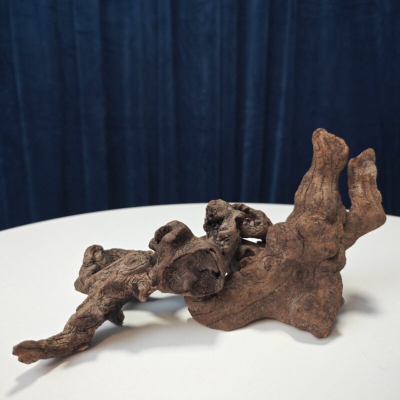 2025/07/1000004044-scaled.jpg Drift Wood - WYSIWYG