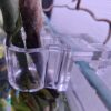 Planteholder til akvarie - Holder til stueplanter (2 stk)