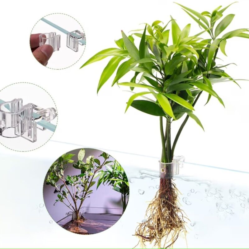 2026/05/1000009138.jpg Planteholder til akvarie - Holder til stueplanter (2 stk)