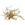 Spiderwood / Red Moor Wood Rødder (20 - 40 cm)