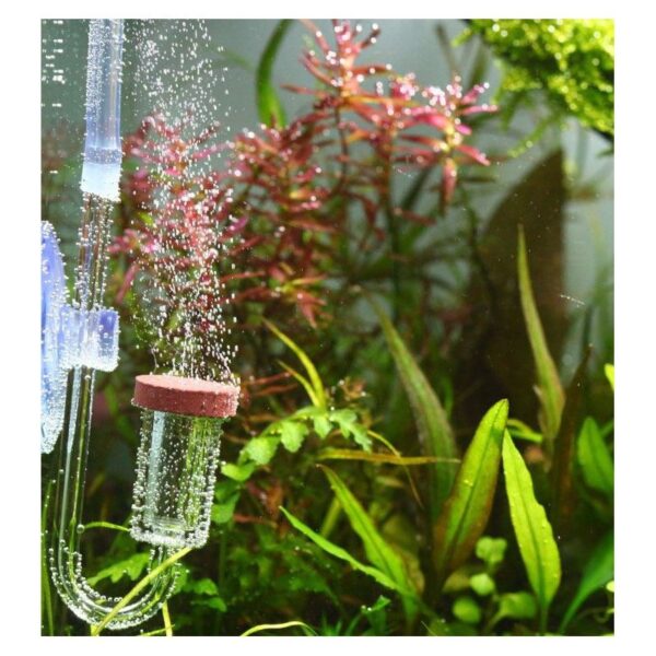 2026/07/1000010896.jpg Aquario Neo CO2 System Bio