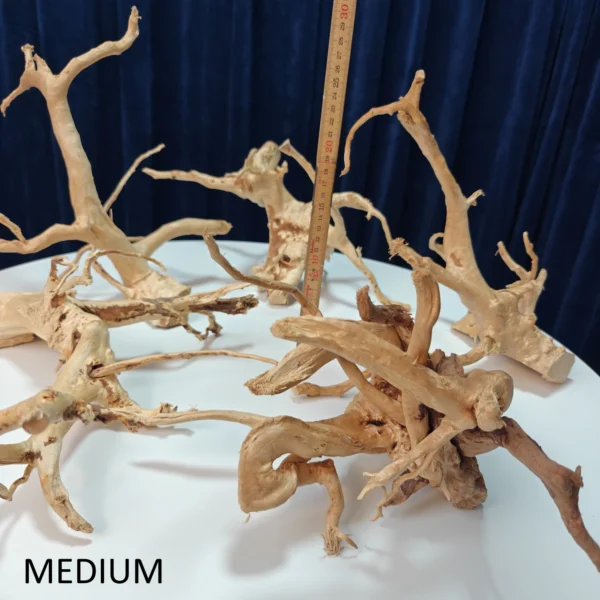 Spiderwood / Red Moor Wood Rødder (20 - 40 cm)