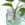 Aquapro planteholder