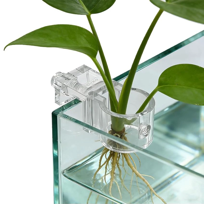 Aquapro planteholder