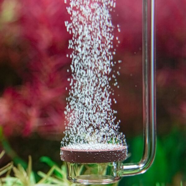 Aquario Neo CO2 Diffuser Special