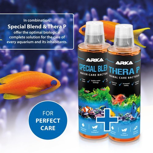ARKA Thera P and Special Blend Combo ARKA Special Blend - Water Care Bacteria