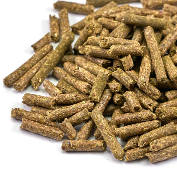 Dr. Bassleer Biofish Food Shrimp Sticks Chlorella Pellet Dr. Bassleer Biofish Shrimp Sticks Chlorella