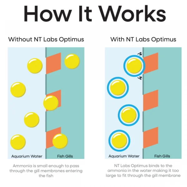 NT Labs Optimus NT Labs Optimus