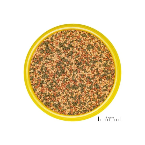 JBL Pronovo Bel Grano S JBL ProNovo Bel Grano S