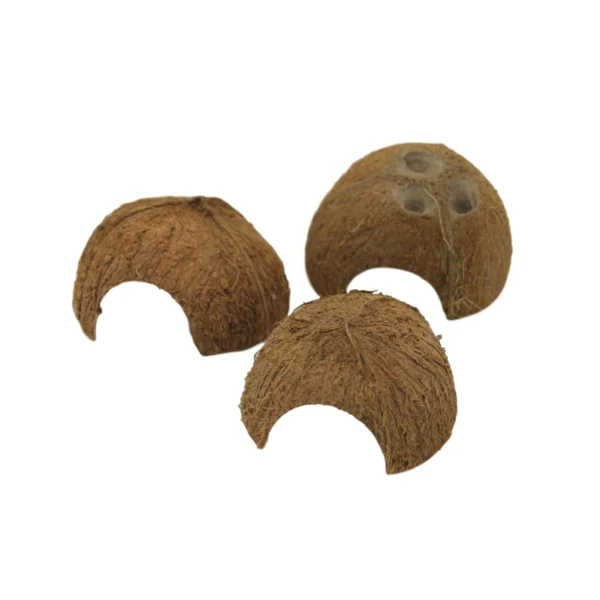 Kokosnød Hule Kokosnød Hule, 1 stk