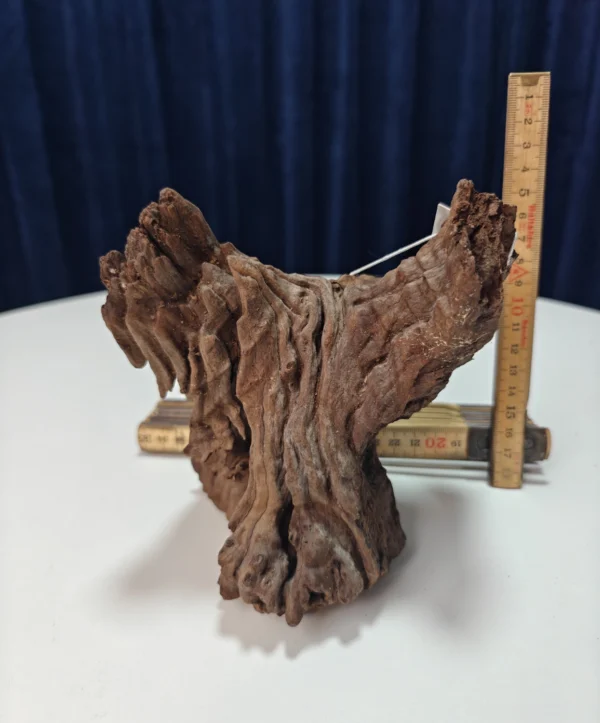 Drift Wood - WYSIWYG